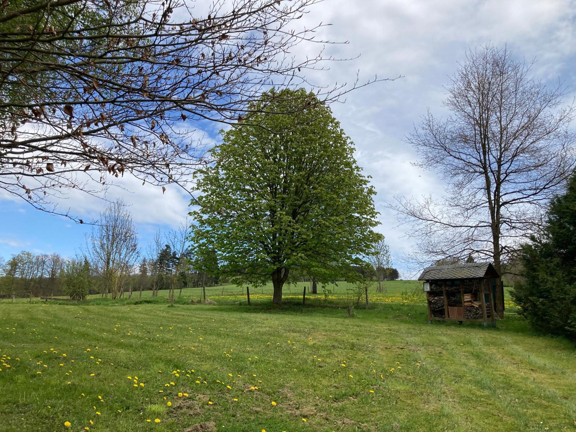 Gasthof Walhalja ชมาลเลนแบร์ก ภายนอก รูปภาพ
